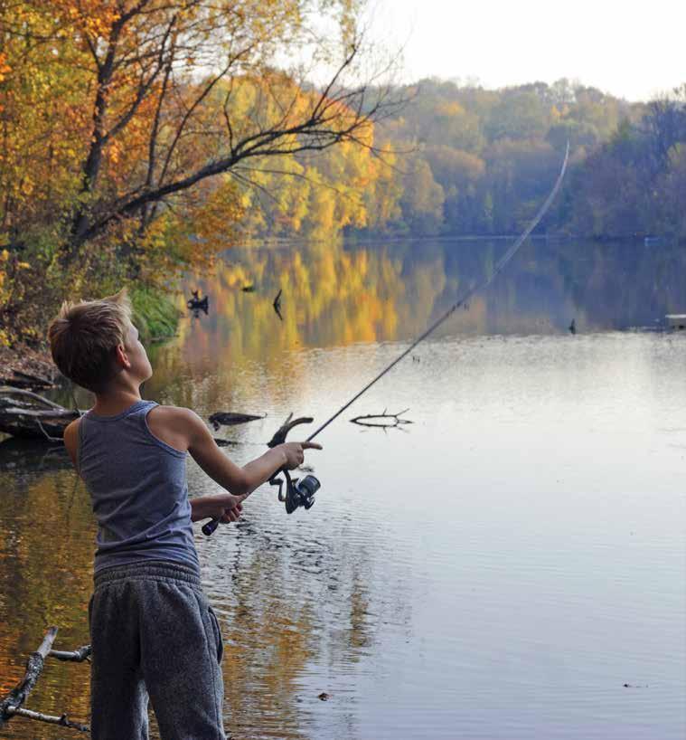 Cover for Reflections of a Southern Yankee