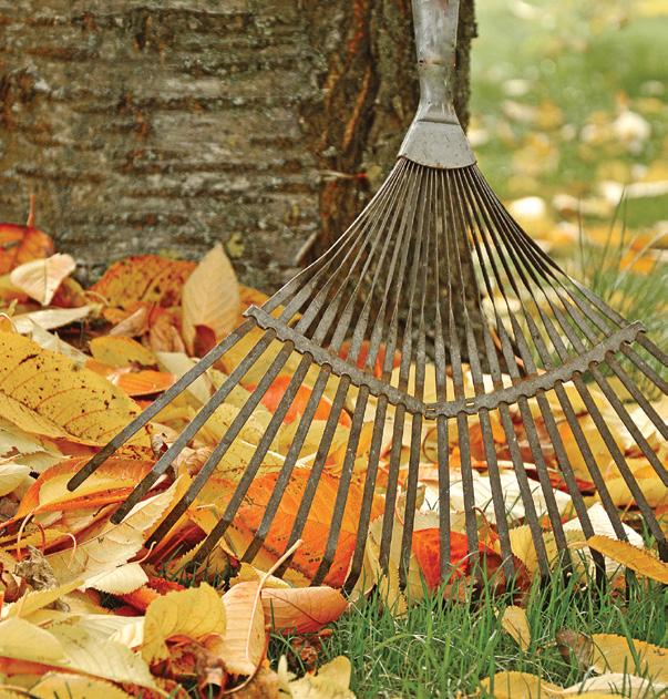 Cover for How to get started