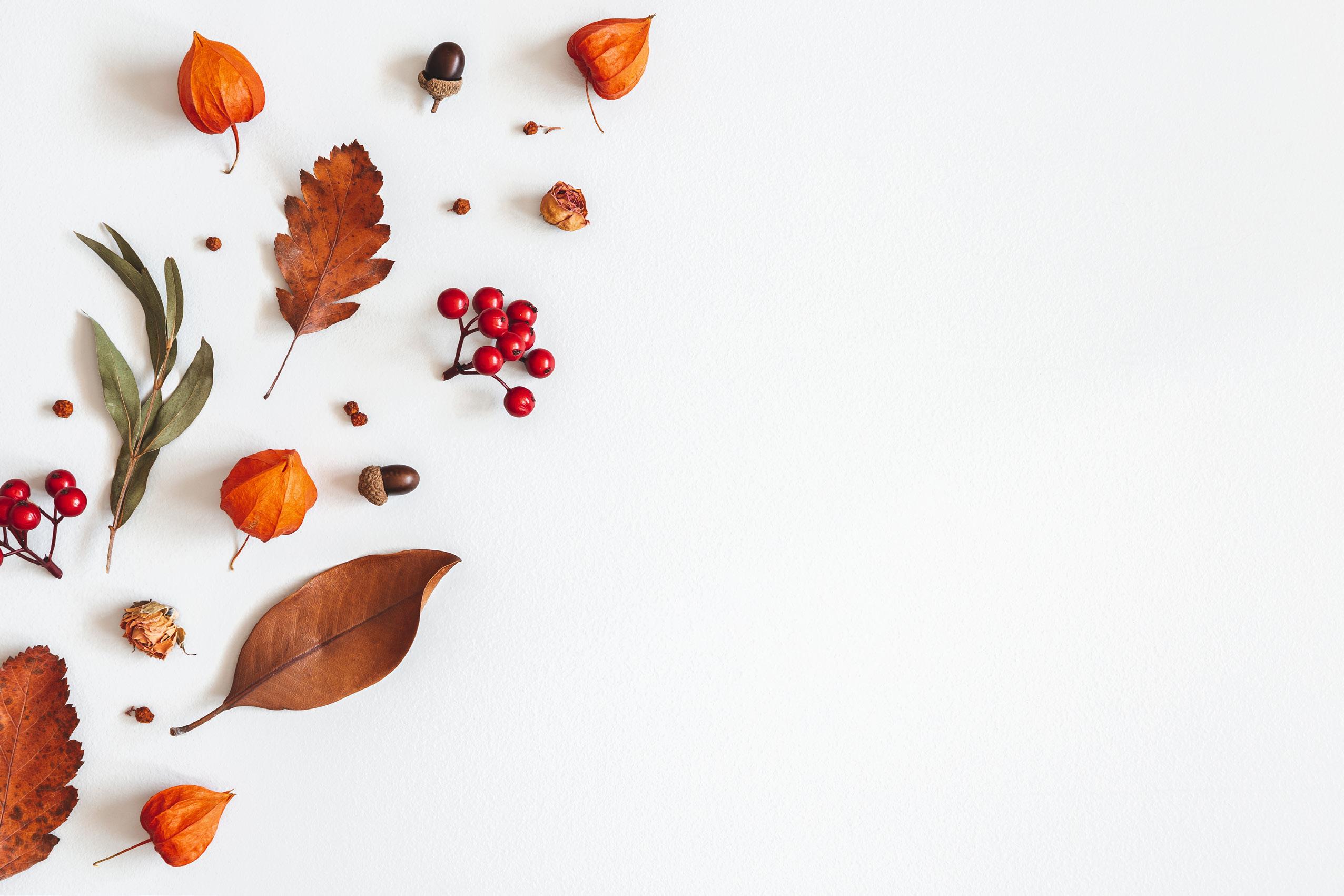 Cover for Thanksgiving Day