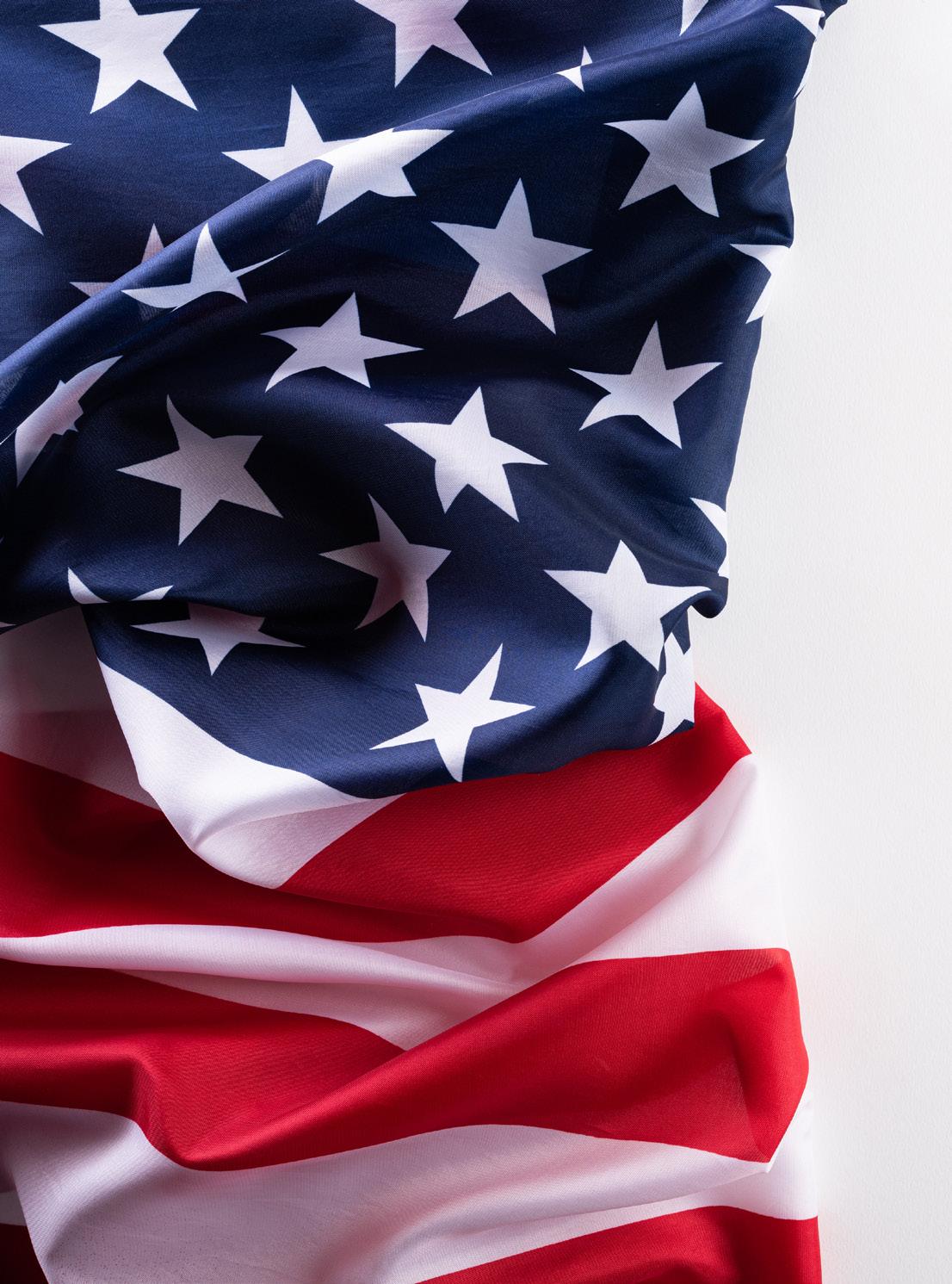 Cover for Veteran’s Day