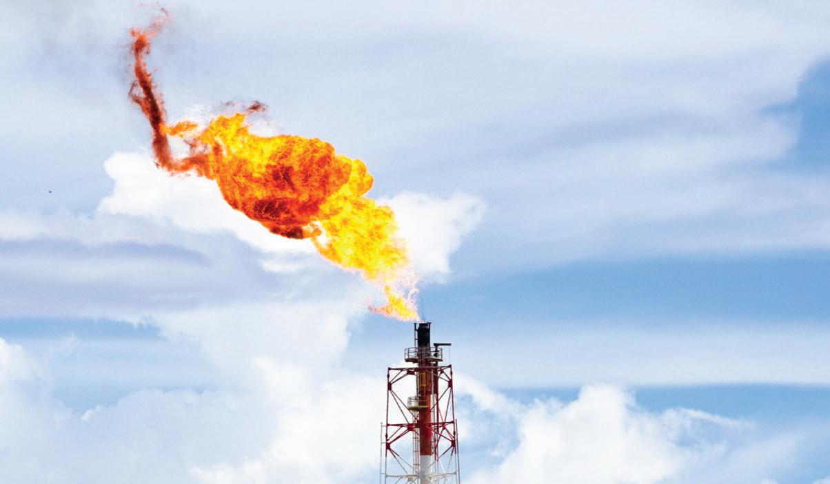 Cover for Entre Pausas PAG