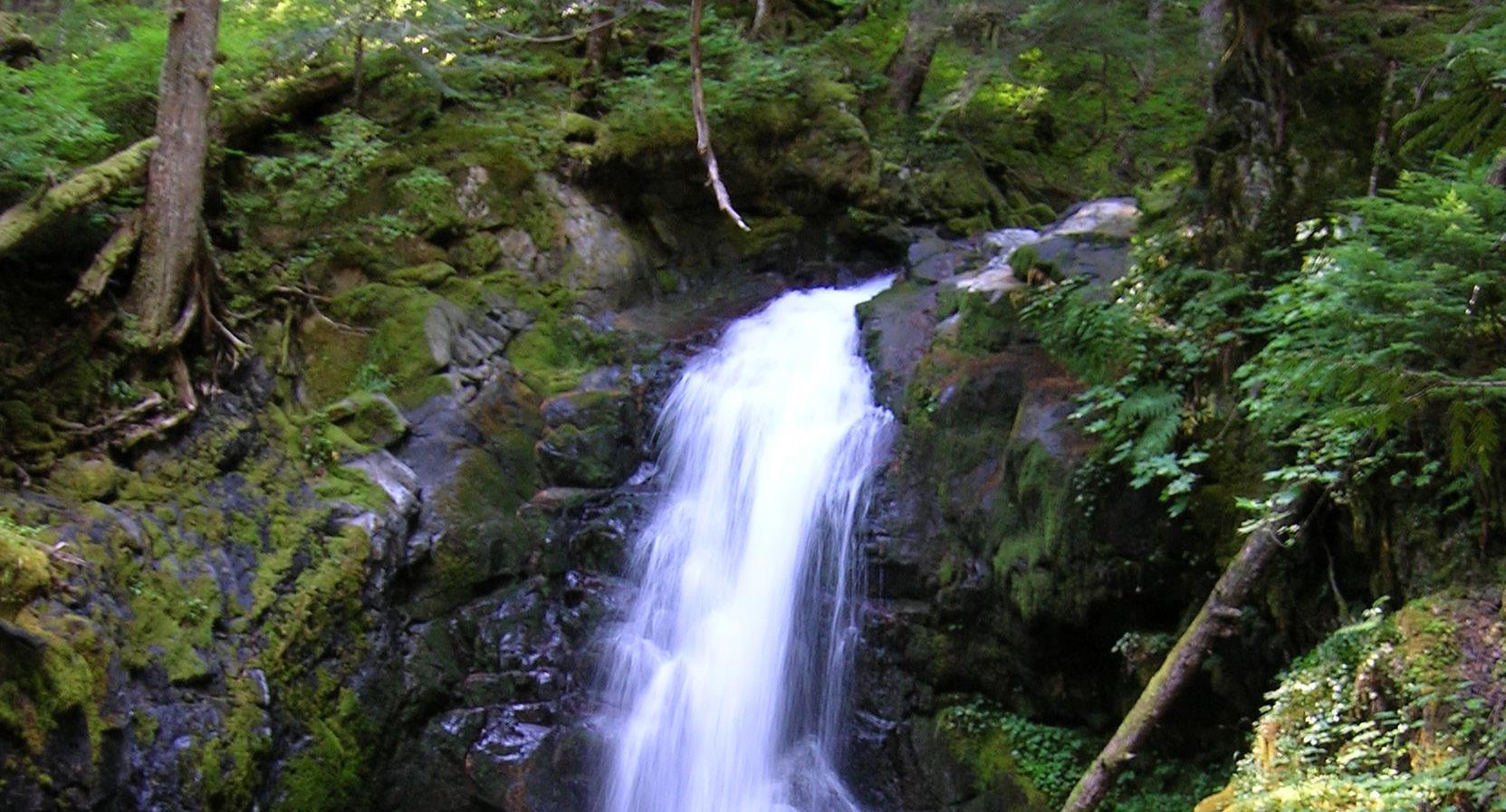 Cover for WATERFALLS