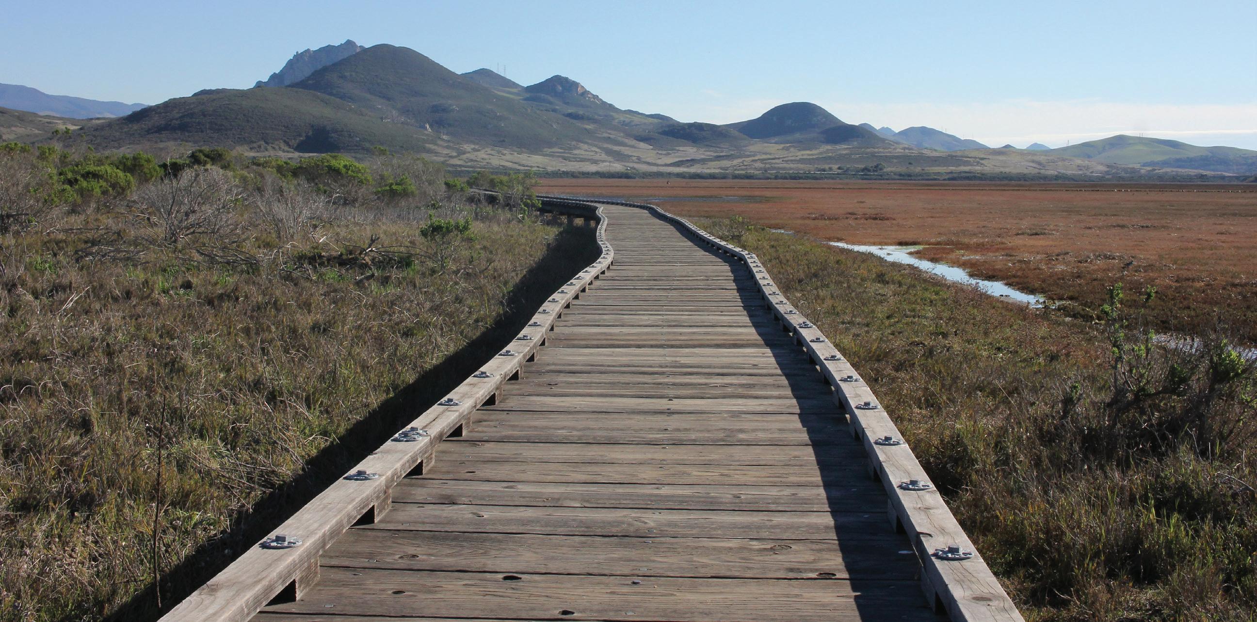 Estuary Morro Bay, CA