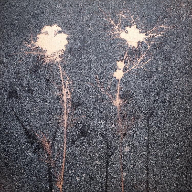 Cover for 29 : Melanie Goemans