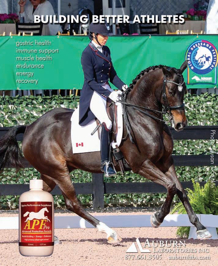 USDF Regional Schooling Show Awards Program Issuu