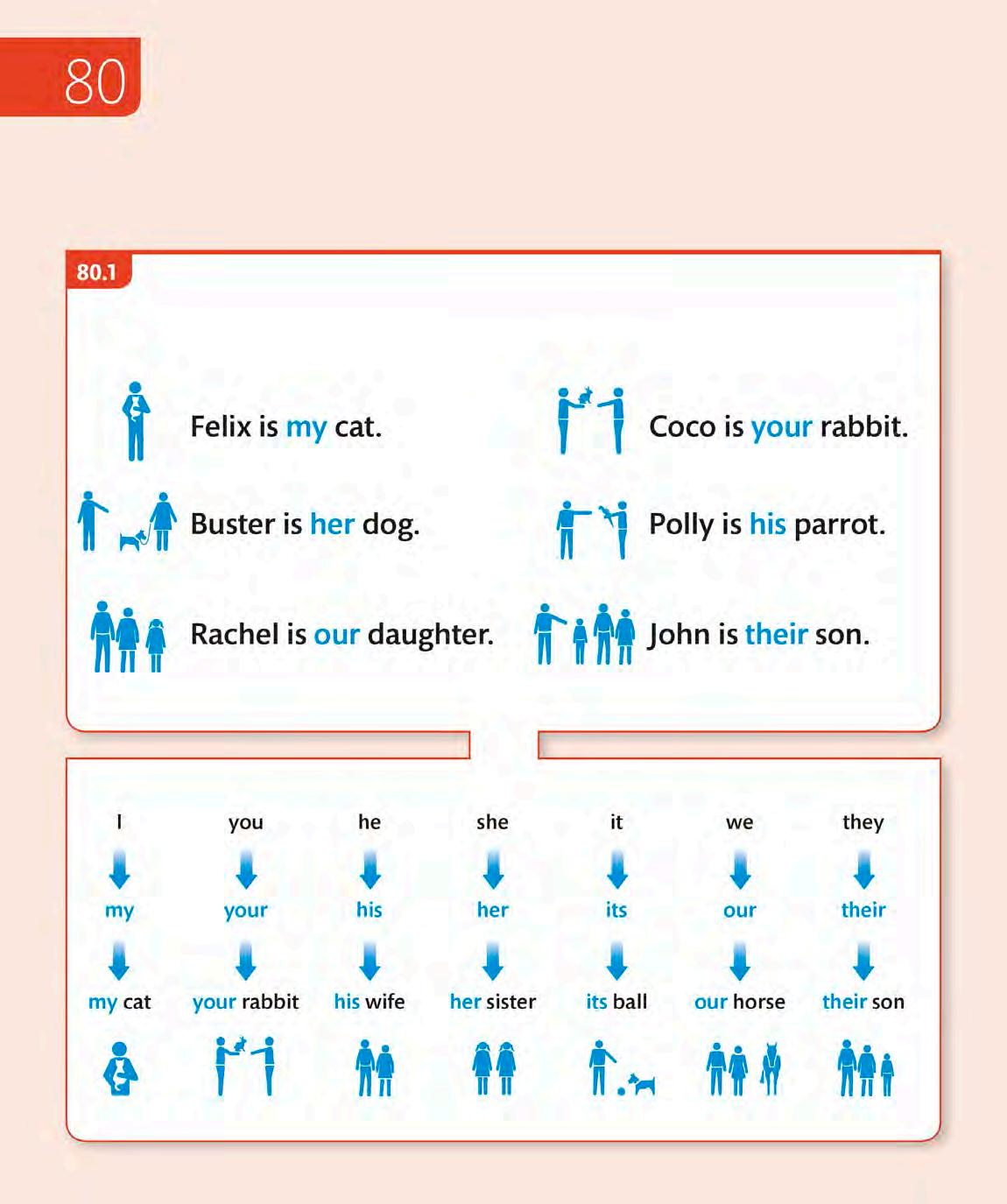 Making Deductions 164 Possession Issuu