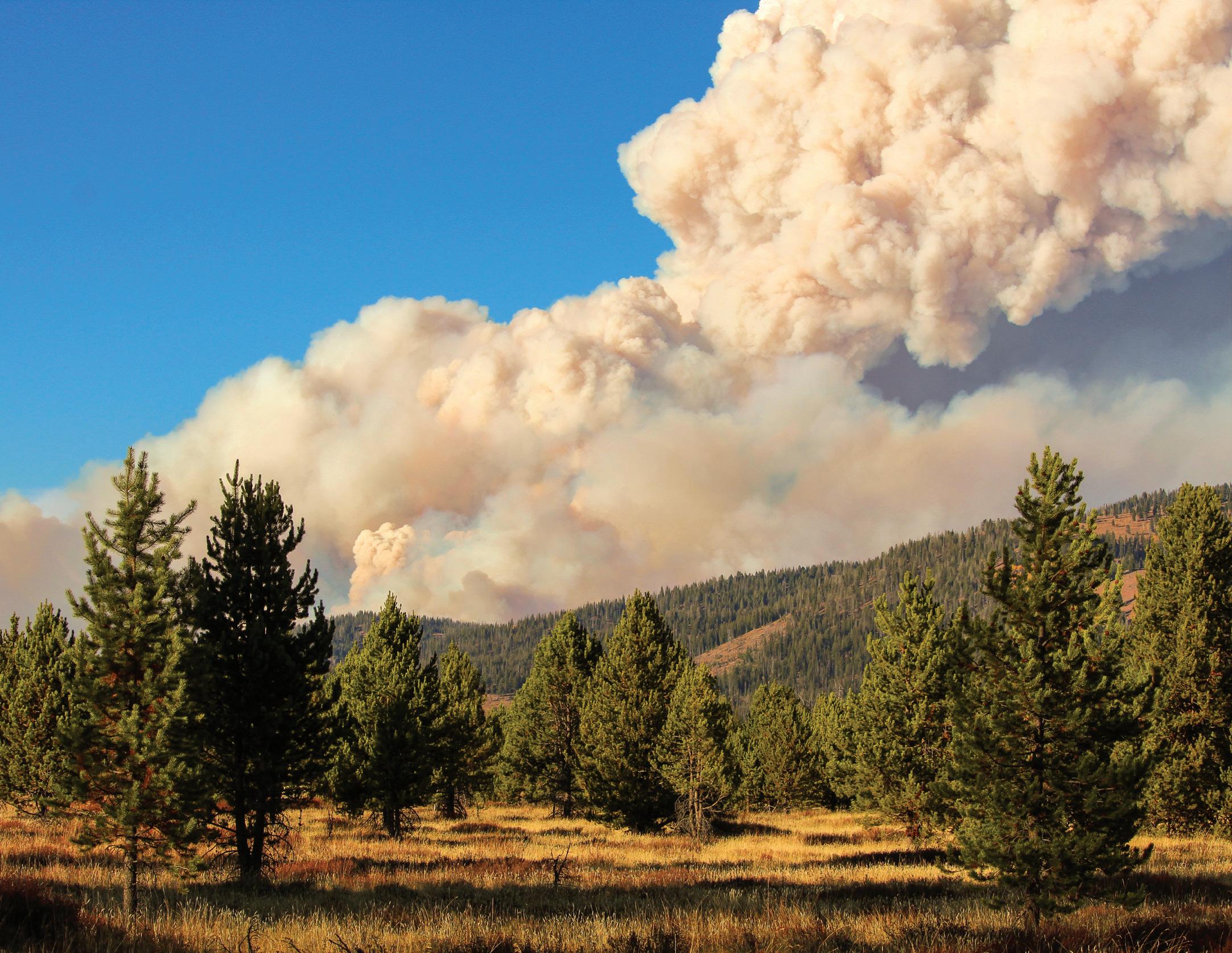 Cover for Wildfire in Urban Communities