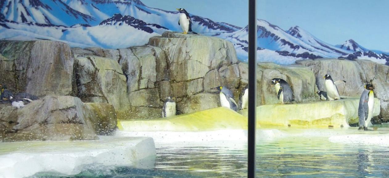 Cover for Give Gifts of Experiences