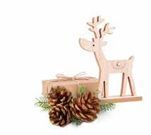 Cover for Message from the NZCB Board