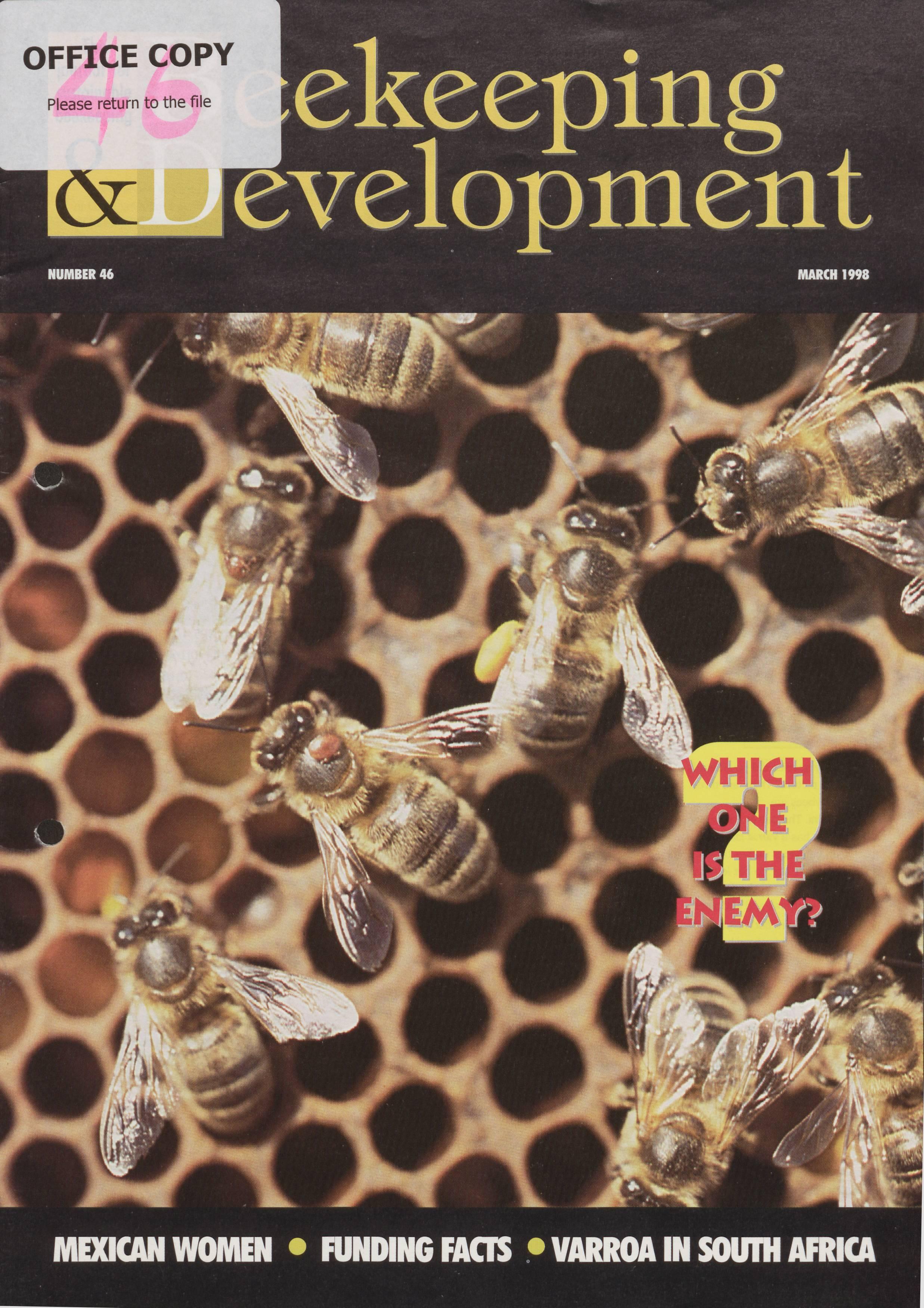 Cover for What's on