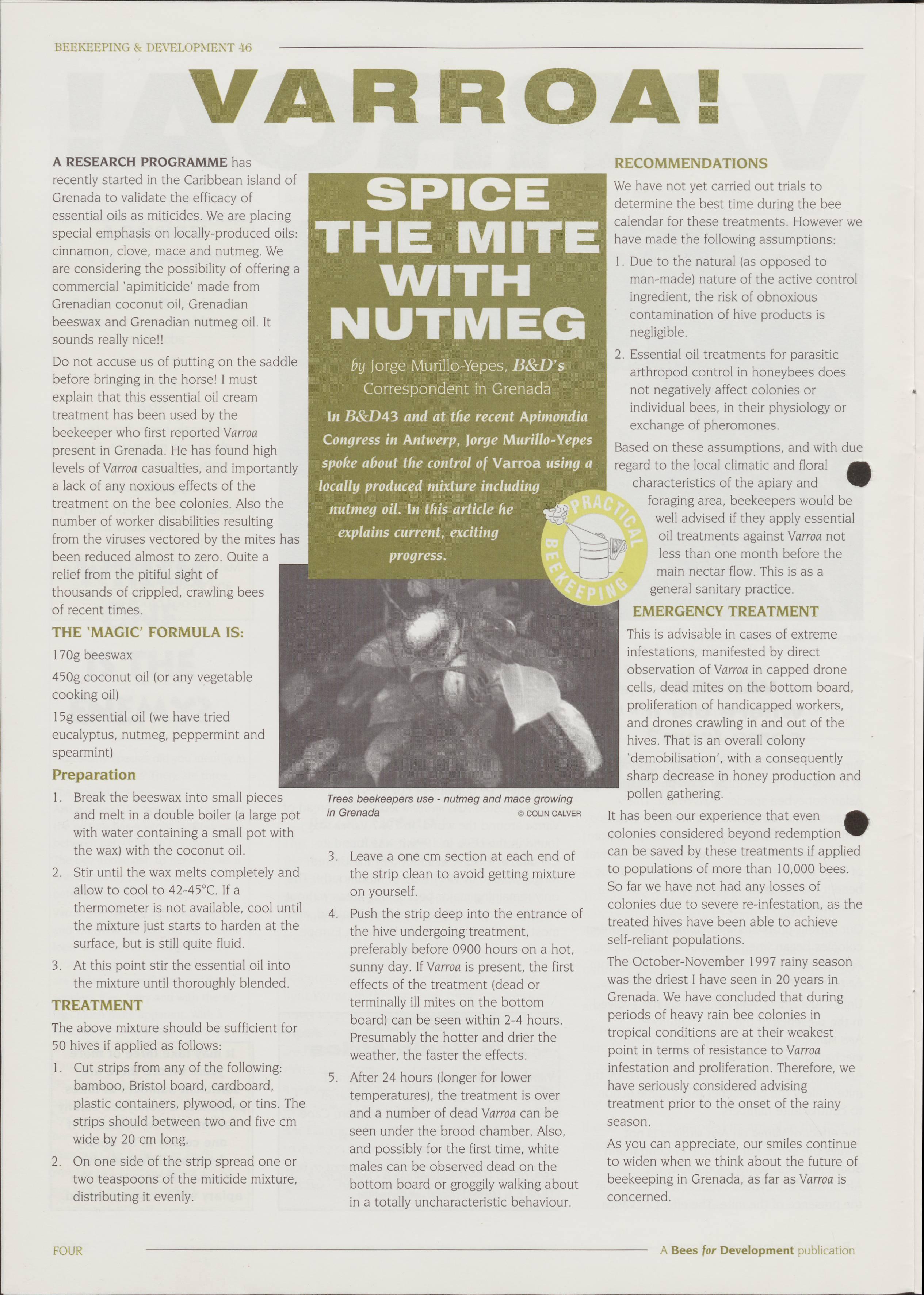 Cover for Spice the mite with nutmeg