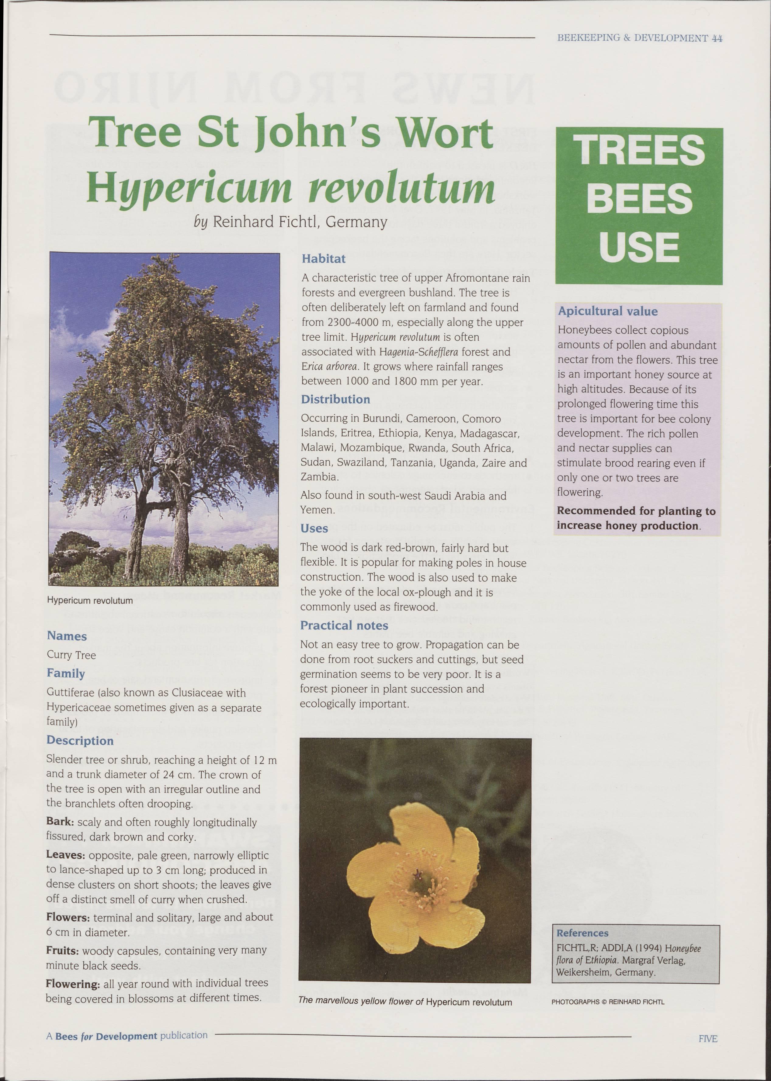 Cover for Trees bees use - Tree St John's Wort - Hypericum revolutum