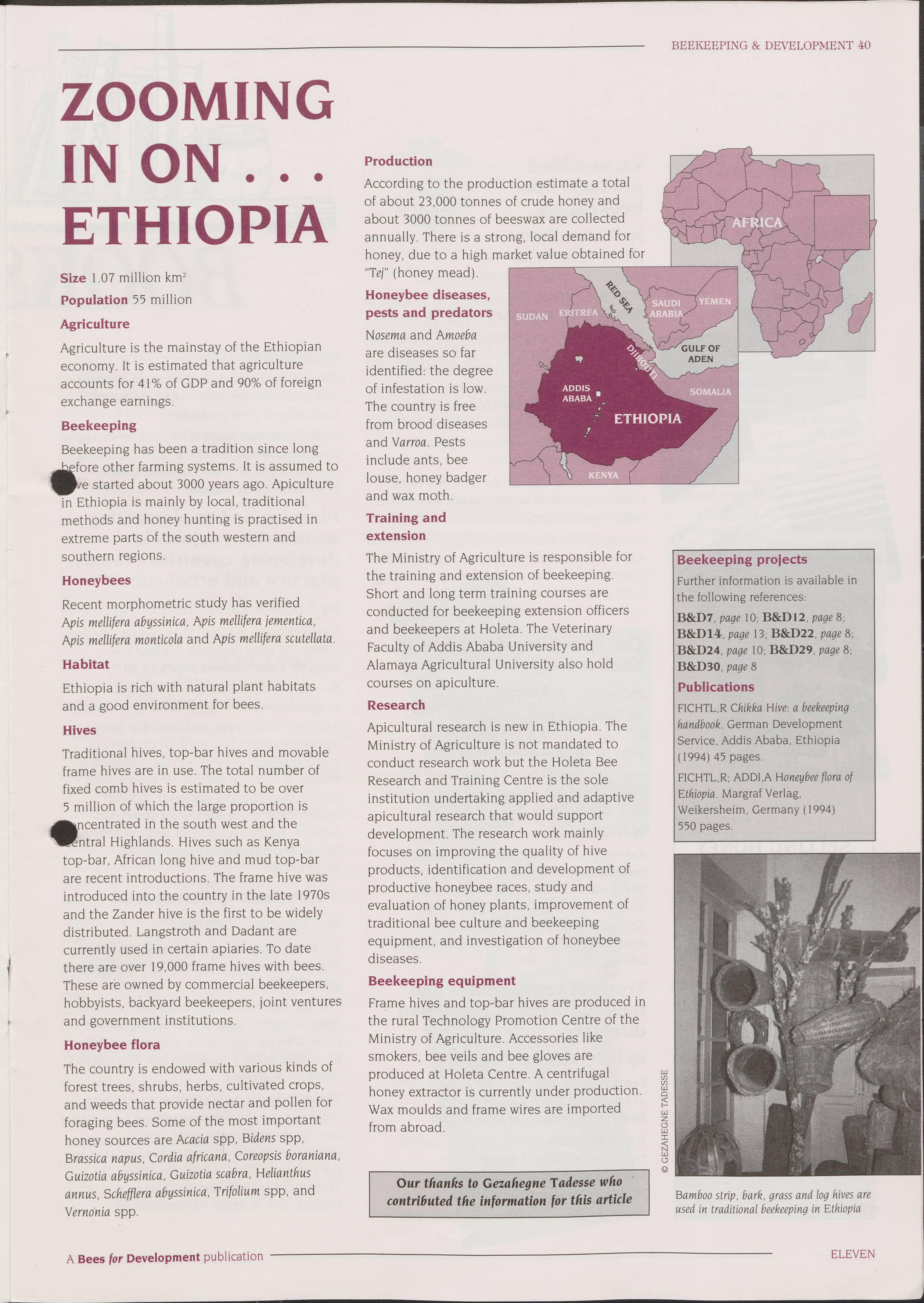 Cover for Zooming in on Ethiopia