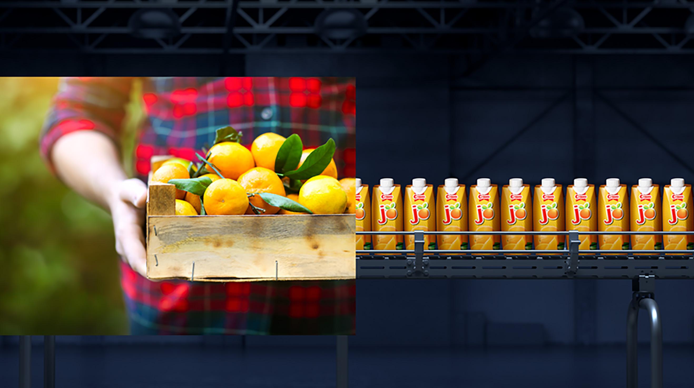 Cover for The intersection of beverage processing technology and innovation