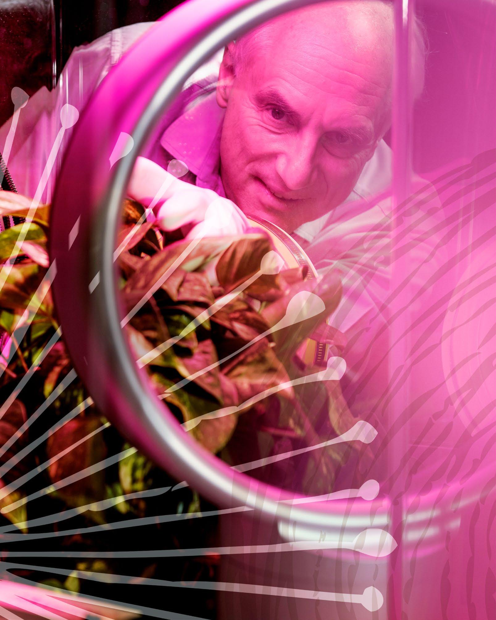 Cover for First MechanicalTree™ to be unveiled at ASU’s Tempe campus