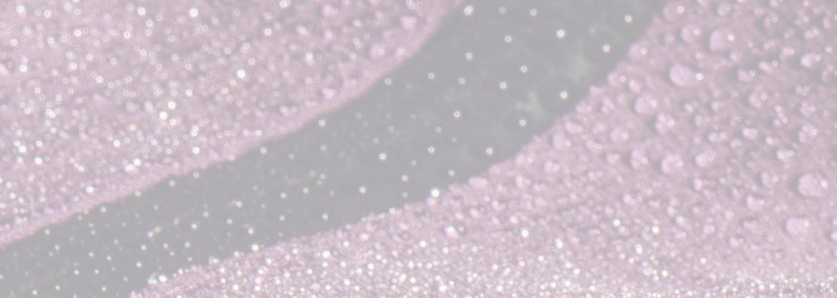 Cover for HIGH & DRY: THE BEST SHELL CLOTHING