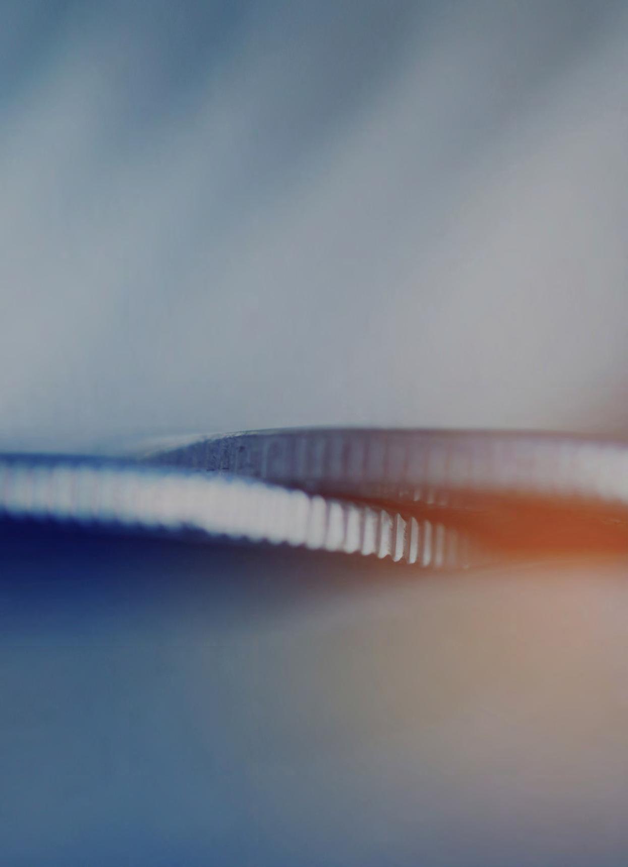 Article from: HELLAS GOLD SUSTAINABILITY REPORT 2019-2020 - English Version