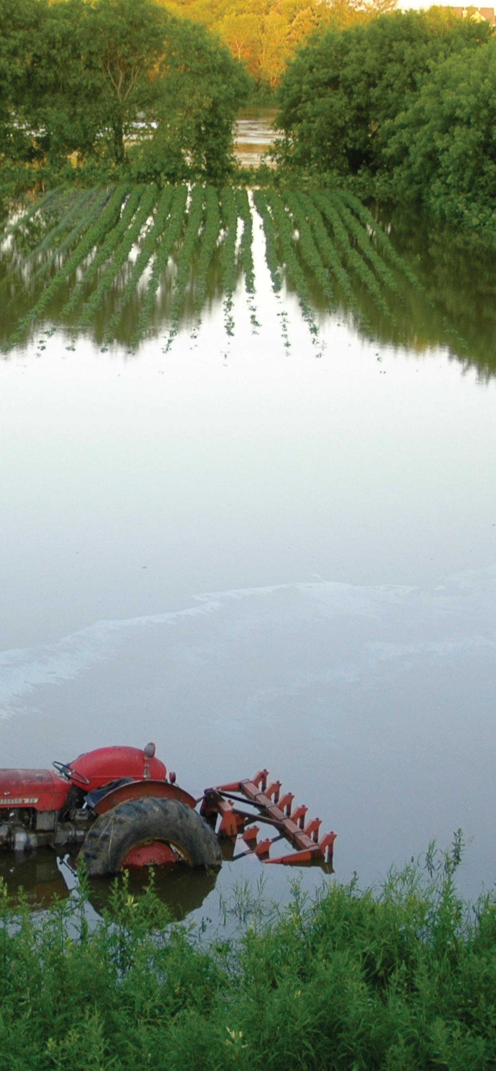 Fall 2021 Financial Partner By Farm Credit East Issuu Fall 2021 Financial Partner By Farm Credit East Issuu