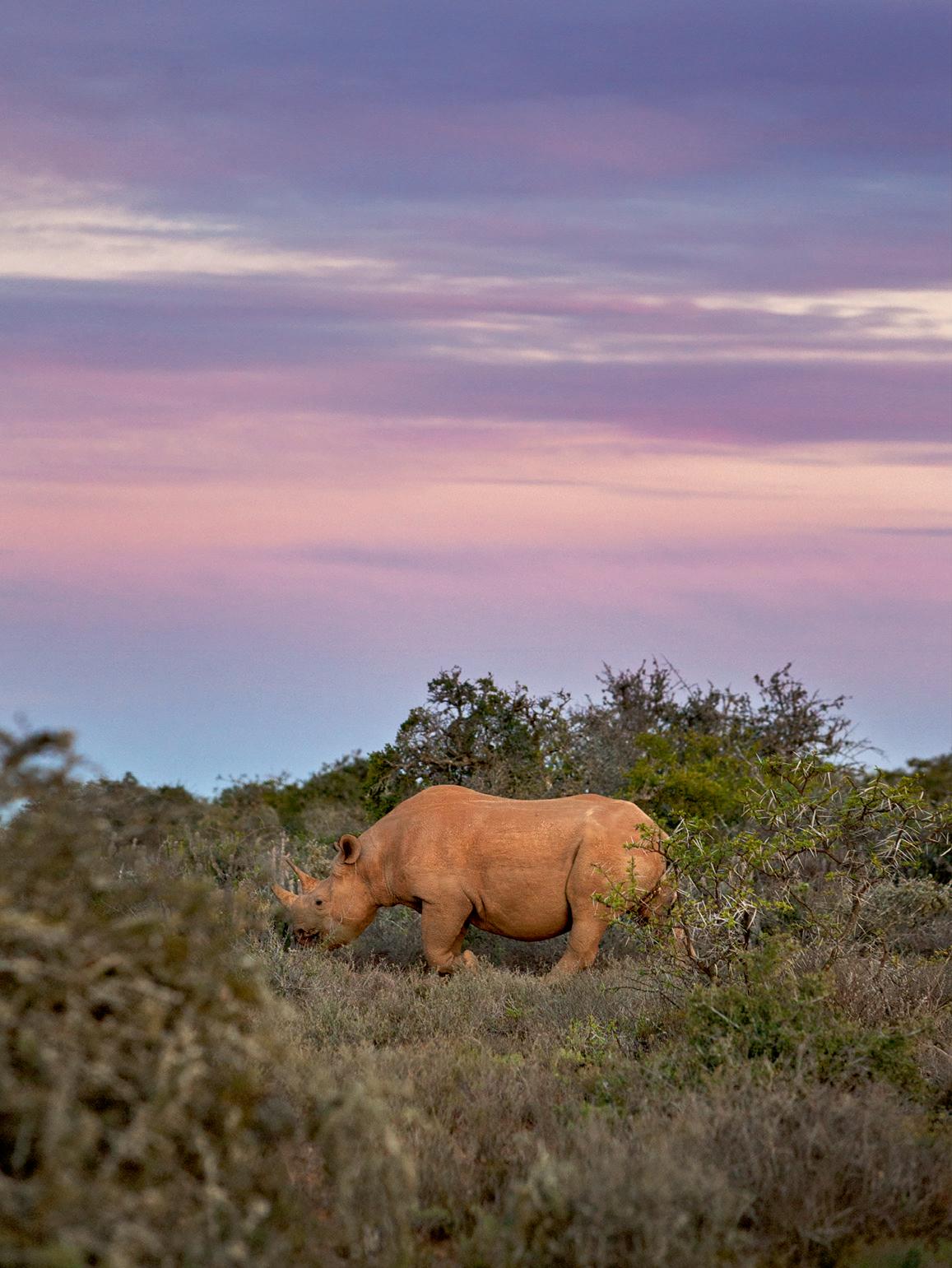 World-famous wildlife at risk