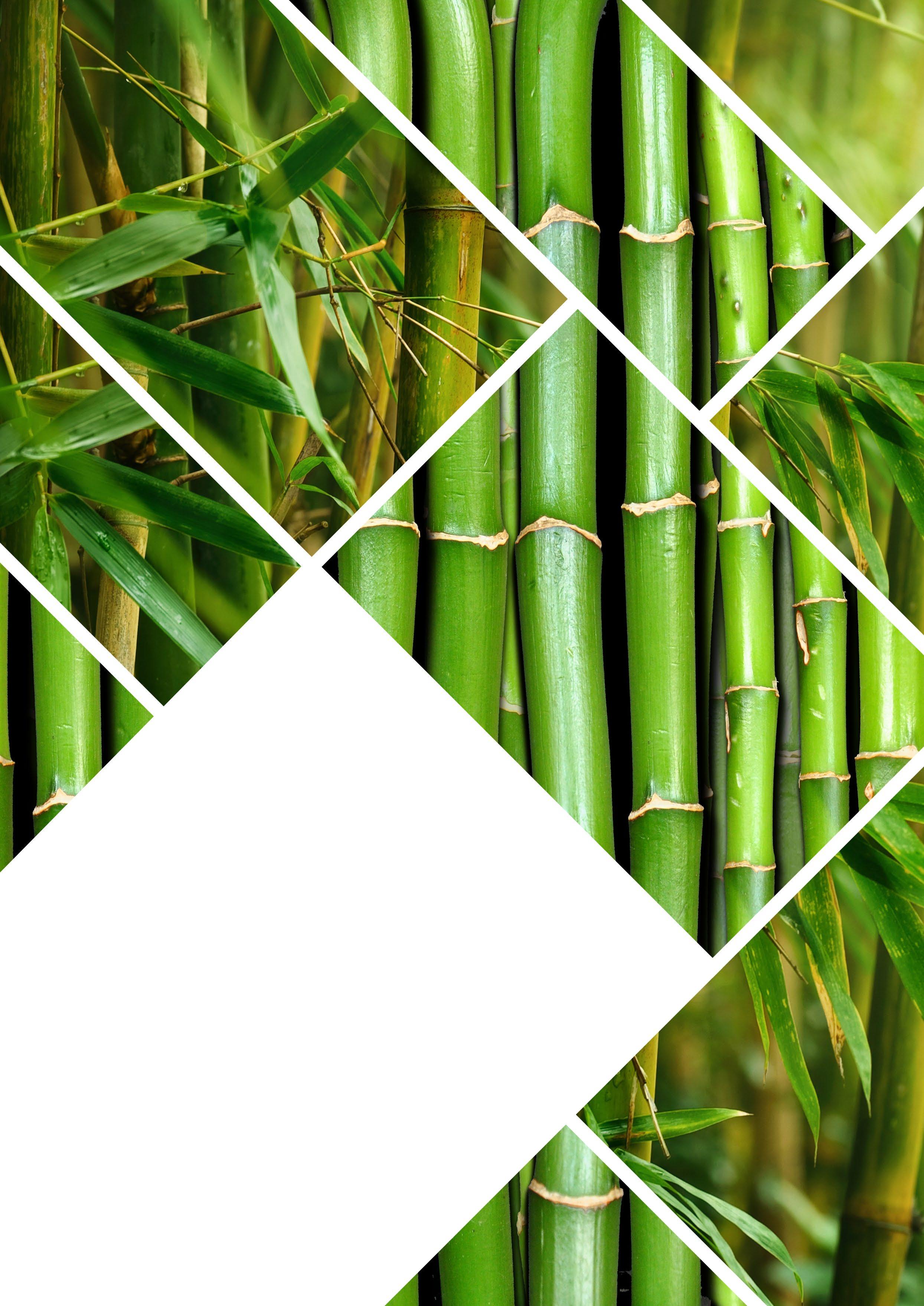 Cover for Bamboo