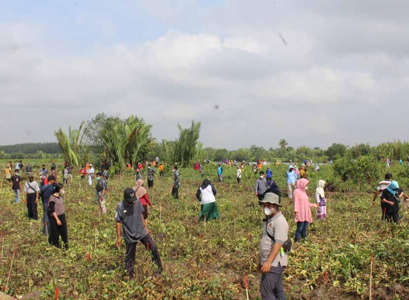 Cover for • Bersama Presiden Joko Widodo, Perhutani Tanam Mangrove di Cilacap