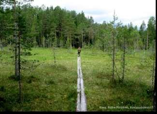 Green Care – hyvinvointipalveluja luonnosta