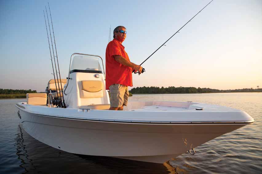 Cover for Built for the Bold