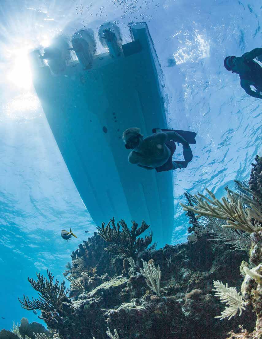 Cover for Pure. Pursuit