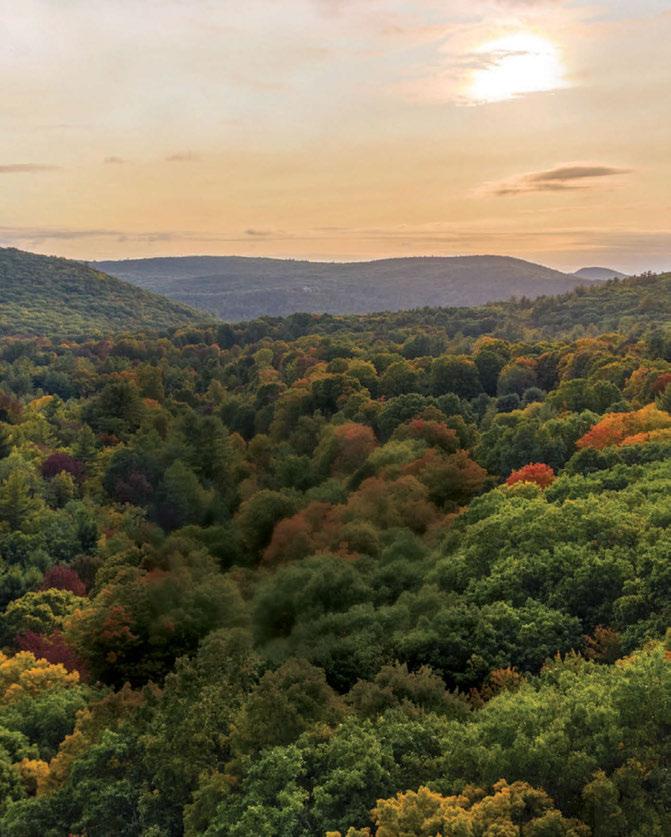 Cover for An Eco-Friendly Way to Return to the Earth