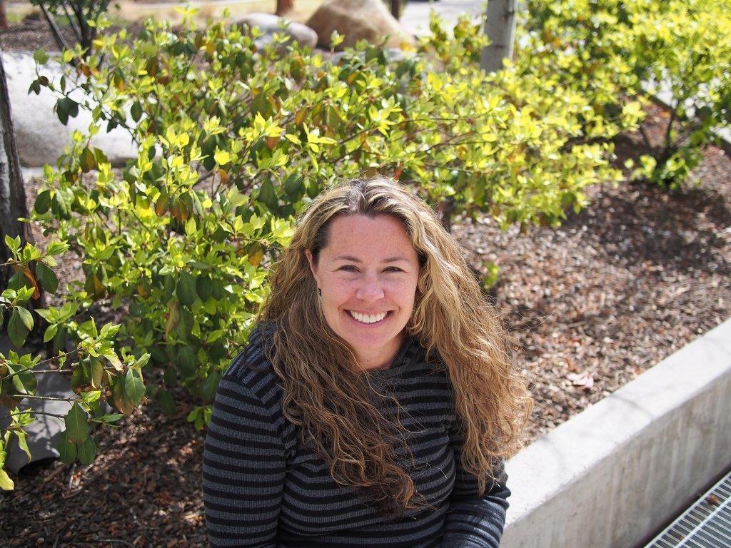 Cover for Department Staff