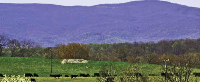 Cover for To the Blue Ridge