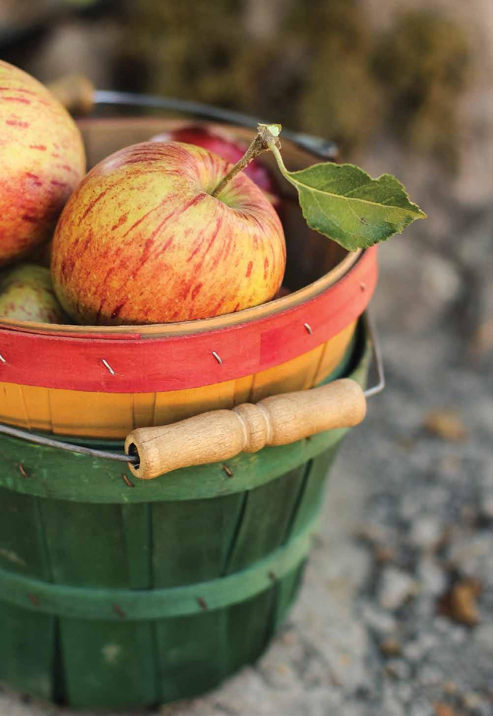 Cover for Let’s Eat