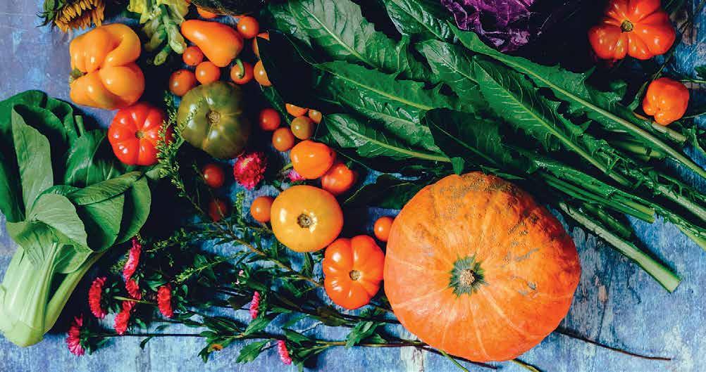 Cover for Urban Garden