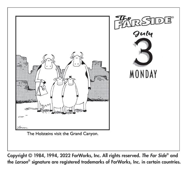 The Far Side Issuu