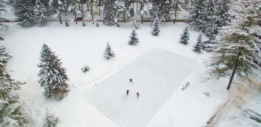 Cover for Ode to the Backyard Rink