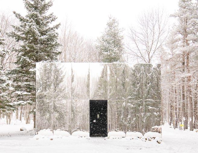 Cover for A Mirror to Nature