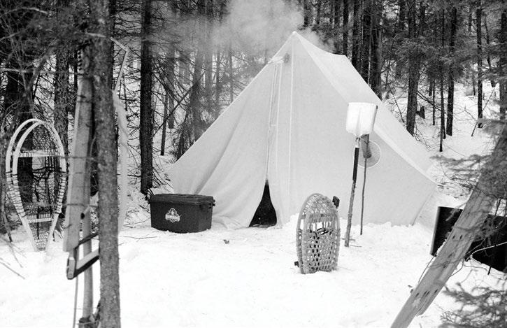 Cover for Shelter in Place