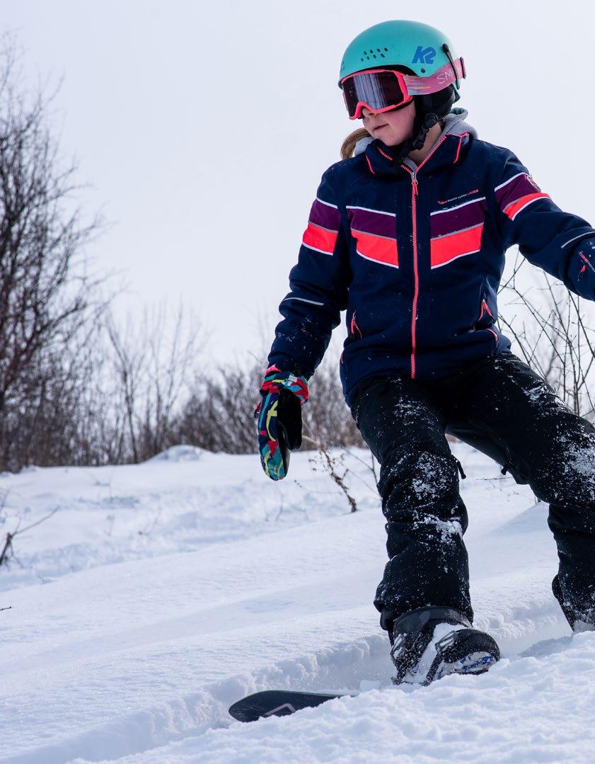 Cover for The Shutdown Season