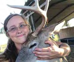 Managing Bucks in the Rut – Advice for Safety