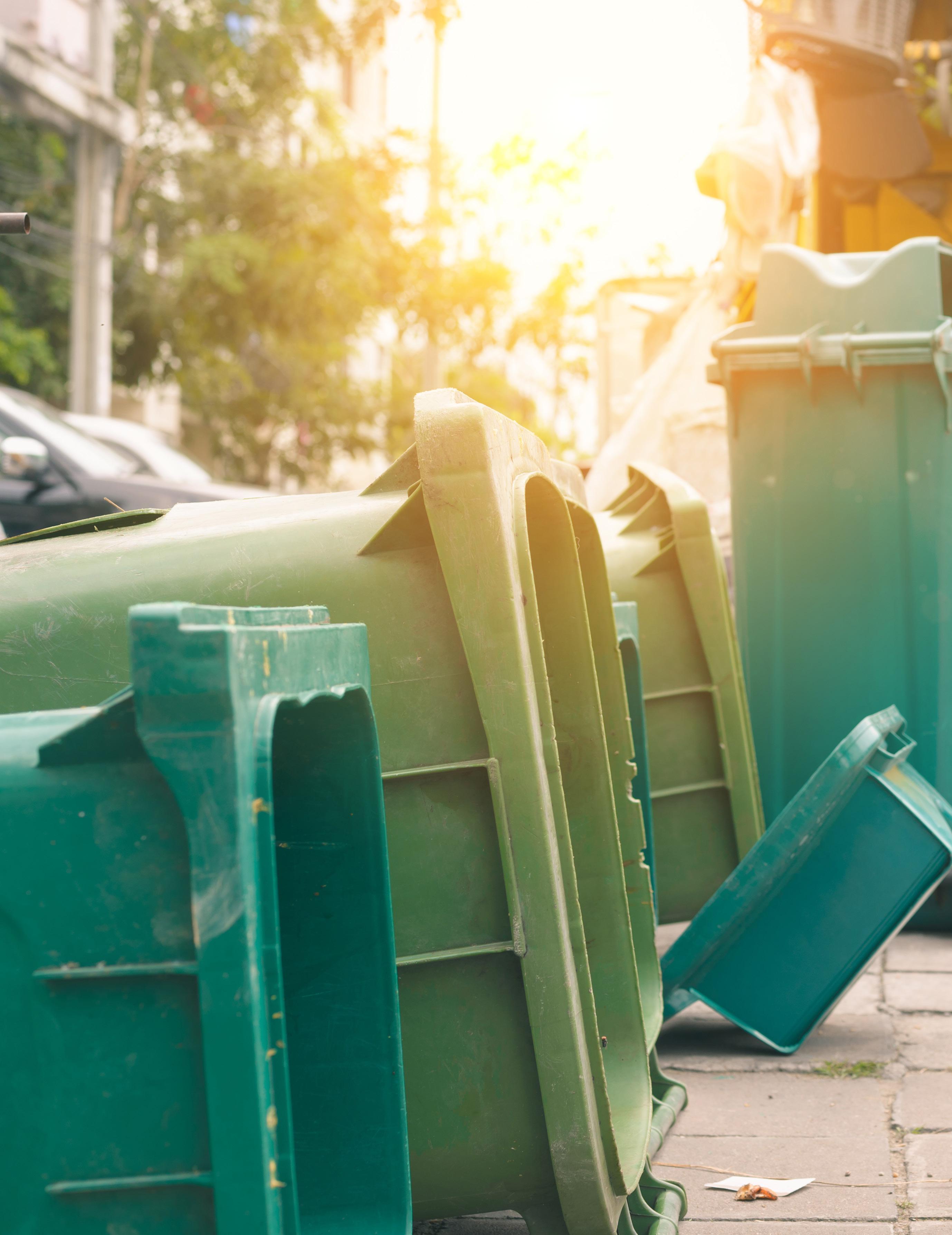 Cover for South Tahoe Refuse Proposed Garbage Tote and Enclosure Pilot Program