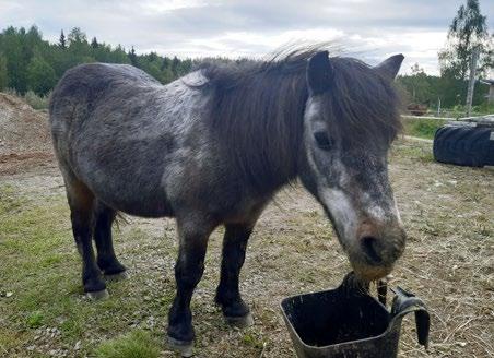 Cover for Gott & blandat