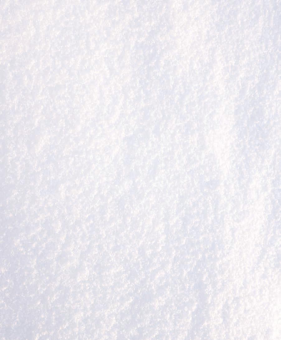 Cover for Long Homestead in Winter