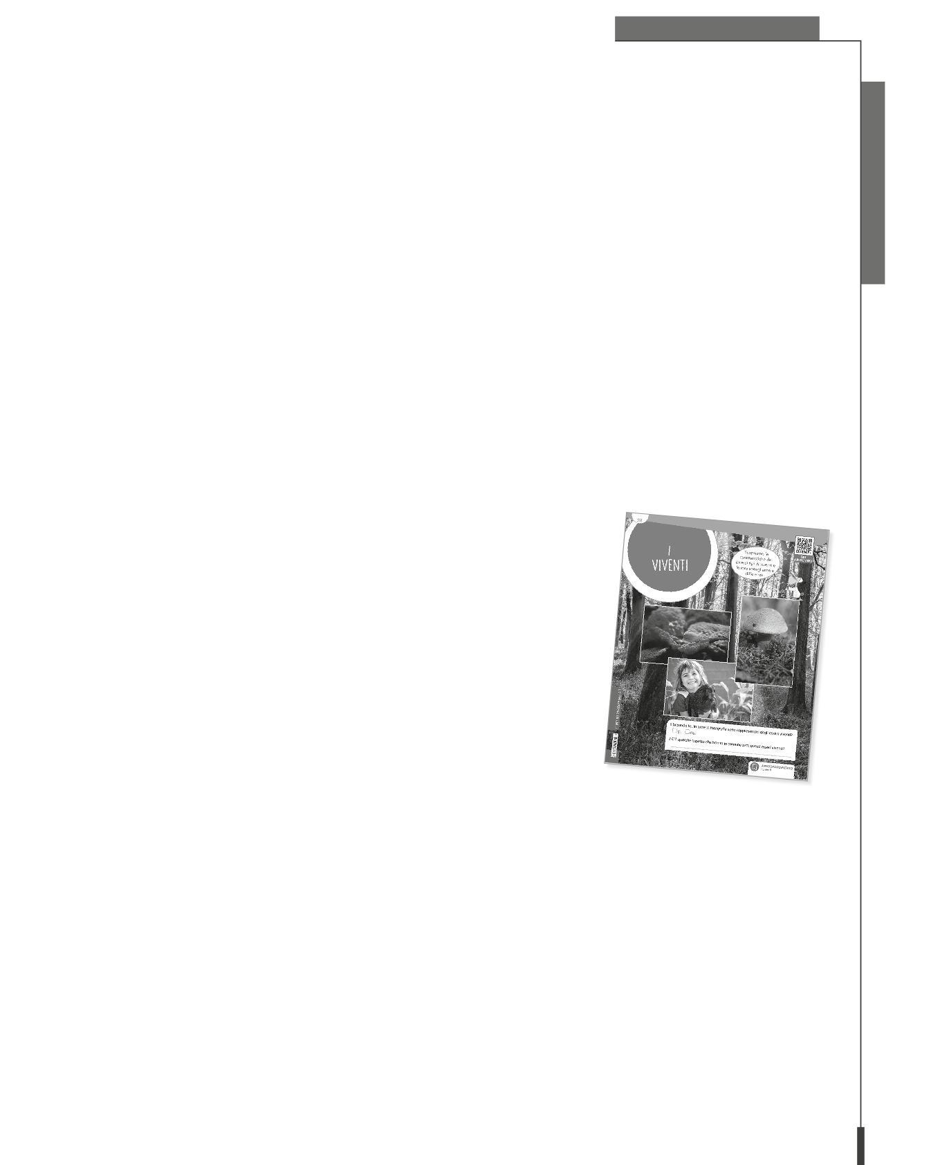 Cover for AUDIO Ti racconto la Matematica