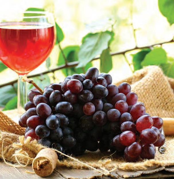 Cover for Regionale Küche und Desserts, Weine mit Liebe gemacht