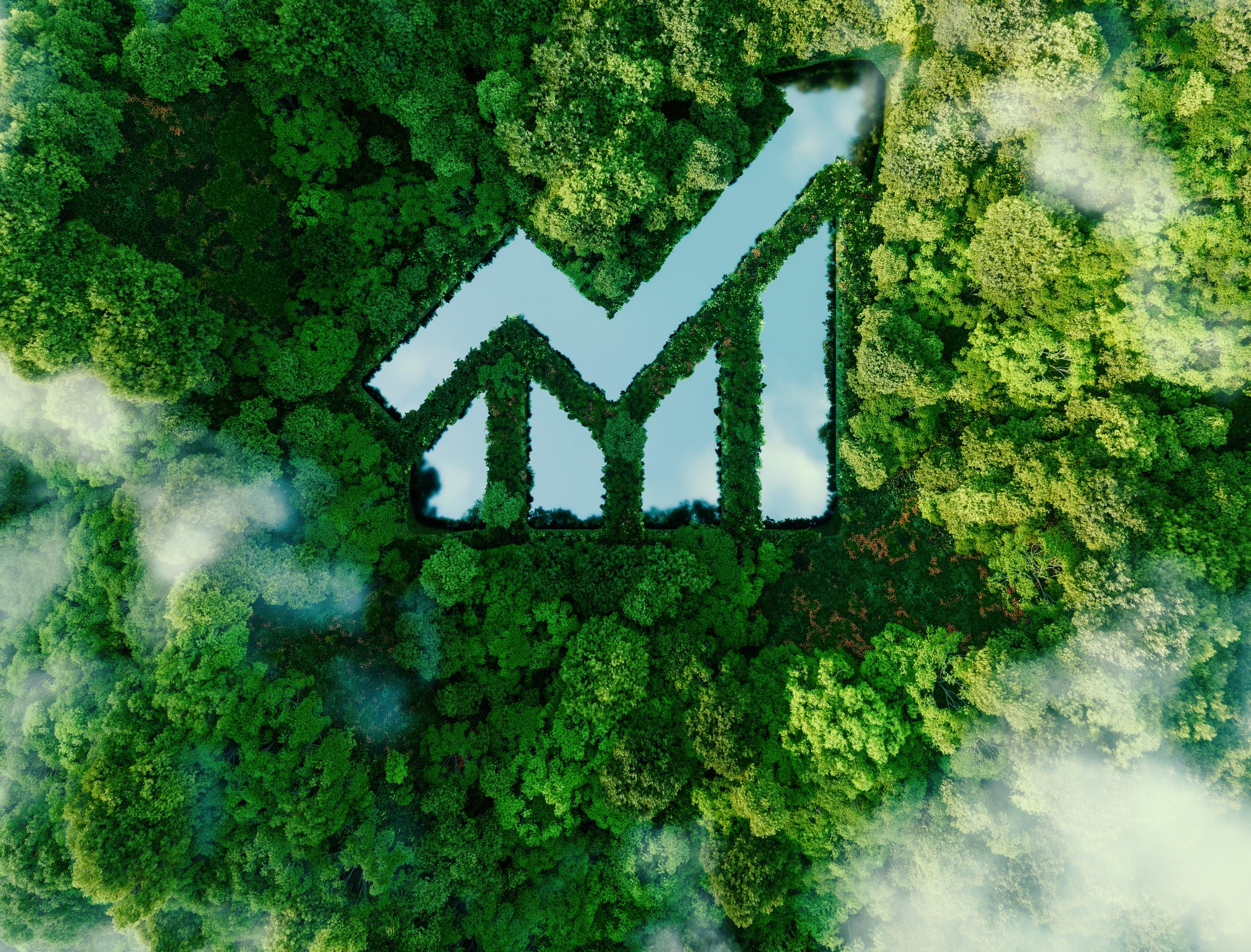 Cover for TALKING UP THE ENVIRONMENT