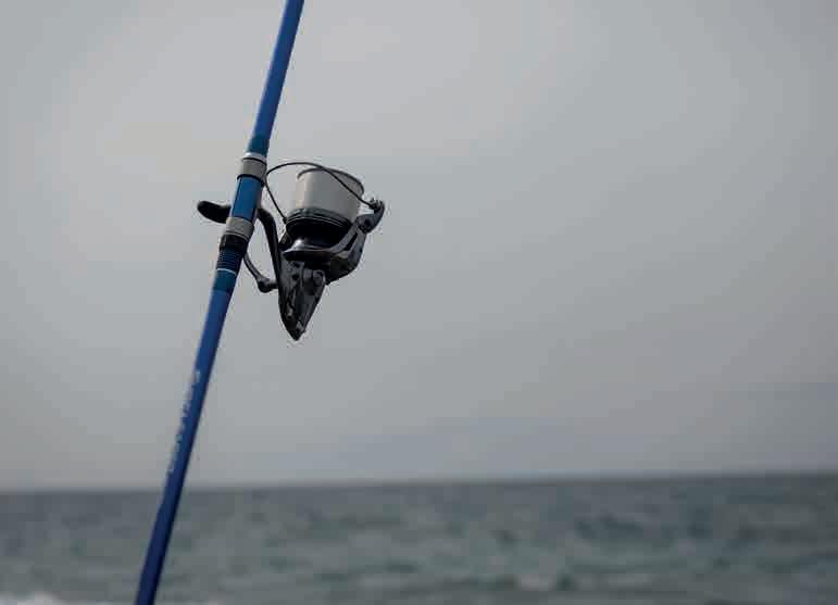 Canne Surfcasting Shimano Sonora – Carbone – Modèle SONAXSFTE4215