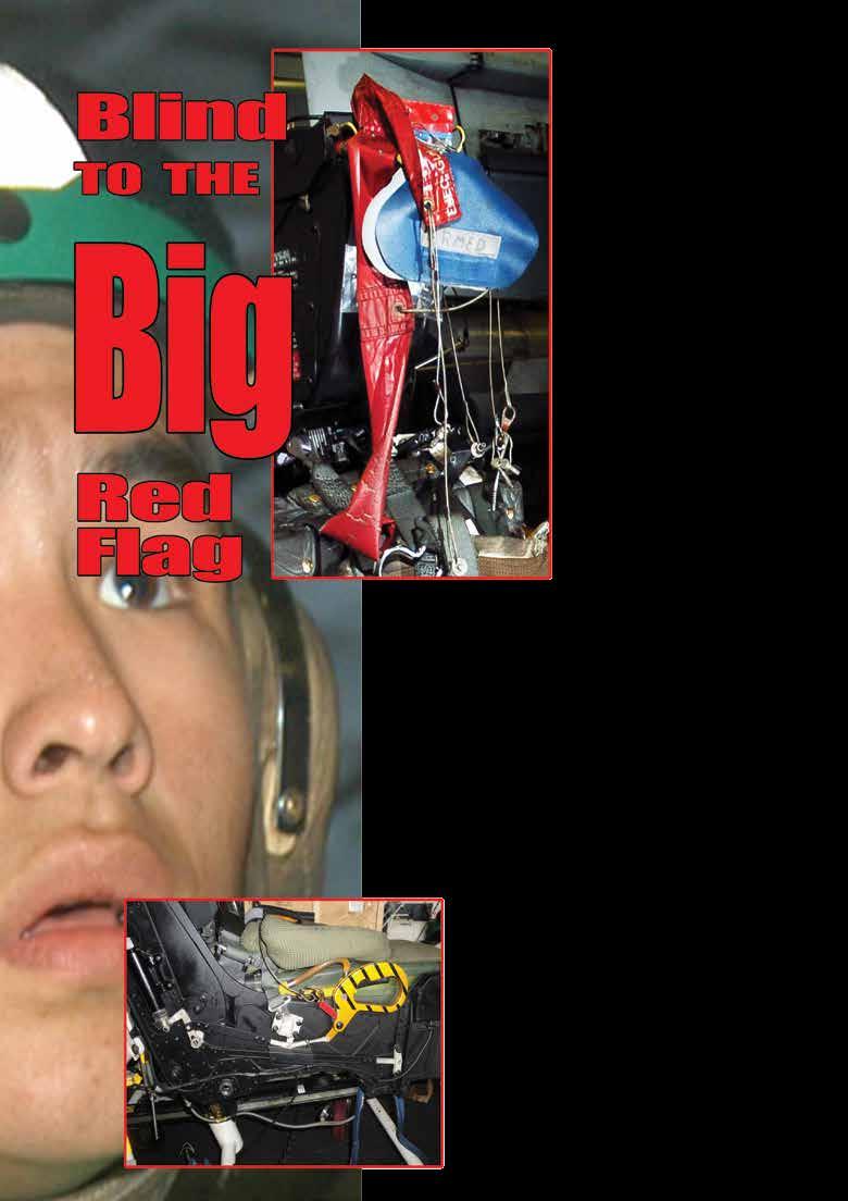 Cover for Blind to the Big Red Flag