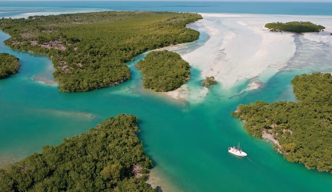 Cover for And get exclusive access to offers, competitions and events. See for details