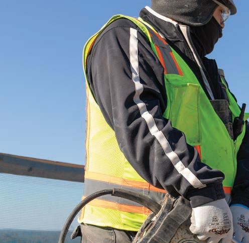 Cover for The Last Placement