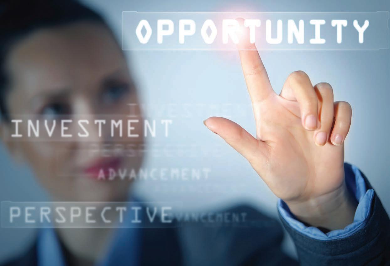 Cover for INVESTMENT PERSPECTIVES